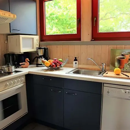 Casa de Férias Wildgans 269 *